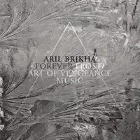 Forever Frost (Original Mix) — Aril Brikha