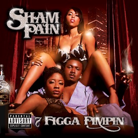 Thick Chickz Sham Pain