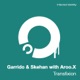 Transfixion Single