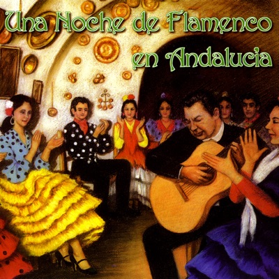 Una Noche de Flamenco en Andalucia