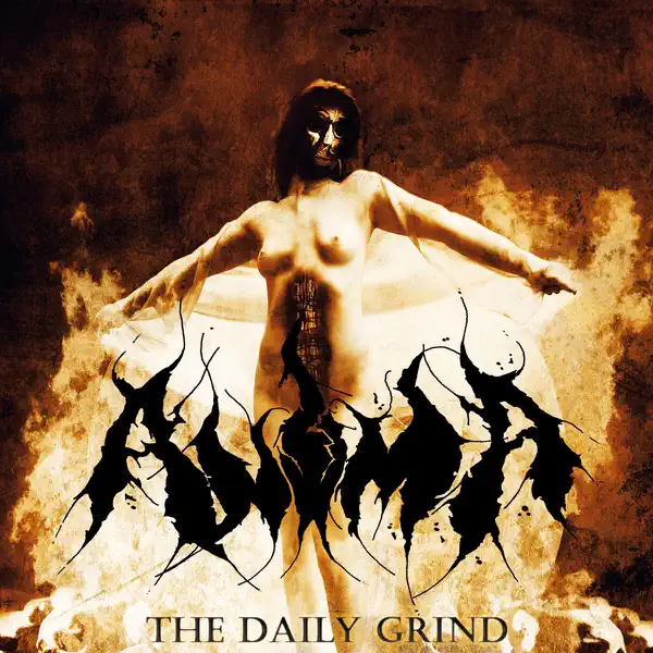 The Daily Grind — Anima