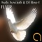Flyer (Aesthetic Minds Remix) - Andy Suncraft & DJ Base-T lyrics