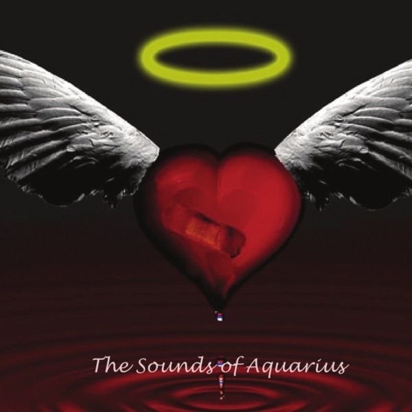 The Sounds Of Aquarius