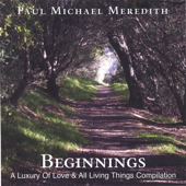 Cover art for Beginnings by Paul Michael Meredith