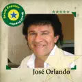Pistoleiro do amor