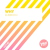 Why (A.R. Remix) - Single