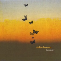 Abbie Barrett - Night Driving