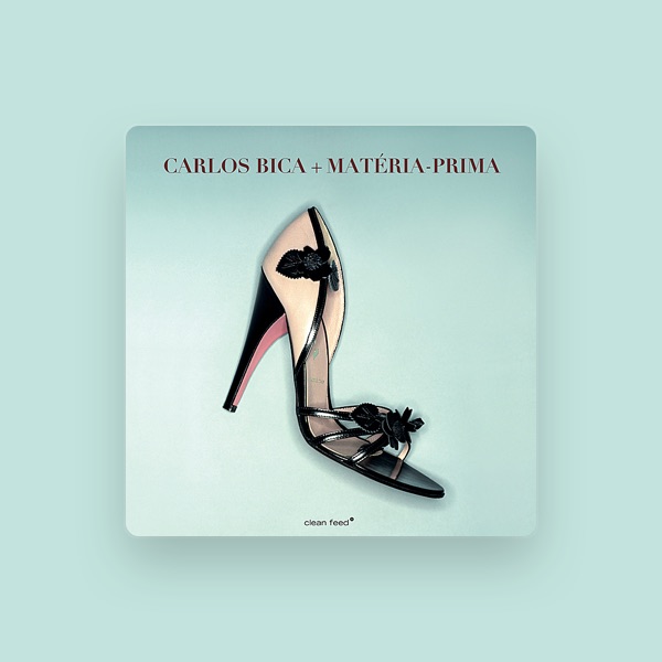 Carlos Bica's avatar