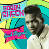 Bobby Sheen - I May Not Be What You Want artwork