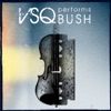 VSQ Performs Bush