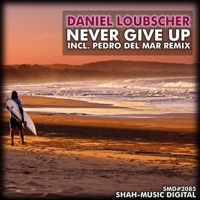 Never Give Up (Adam Ellis Long Chillout Mix)
