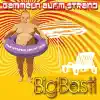 Gammeln Aufm Strand