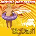 Gammeln Aufm Strand