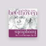 The Fine Classical Orchestra