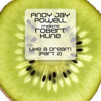 Like a Dream (Part 2) - Andy Jay Powell & Robert Kline