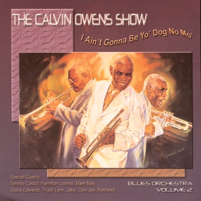 I Ain't Gonna Be Yo' Dog No Mo'