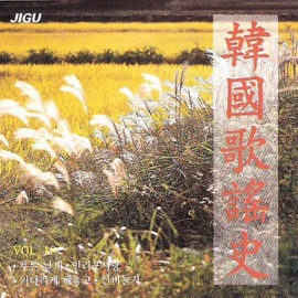 The Person Who Must Leave Insooni