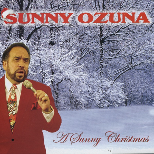 A Sunny Christmas