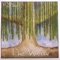 The Willow - EJ Jones lyrics