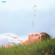 Salvia - Hiromi Iwasaki