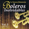 Voces Romanticas de La Sonora Matancera - Boleros Inolvidables Volume 3