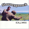Twice Daily - Shanneyganock new Single