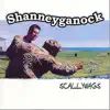 Shanneyganock - One Road