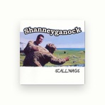 Shanneyganock