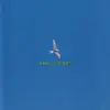 Sea of Green - Women Today