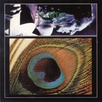 Ednardo - Pavão Mysteriozo