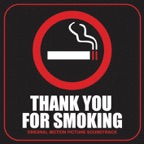 Three Cigarettes in an Ashtray