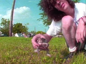 Frogs
