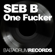 One Fucker (DJ Ghost Remix) - Seb B