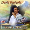 David Olaïzola  