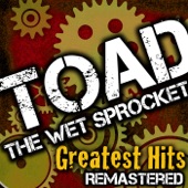 Toad the Wet Sprocket - Walk On The Ocean