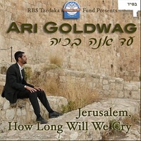 Jerusalem, How Long Will We Cry - Single - Ari Goldwag
