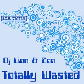 Technical Mess DJ Lion & Zon