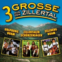 Der Geigenspieler aus dem Zillertal