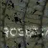 Rosetta - Deneb
