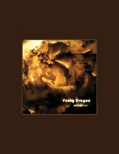 收听 Funky Dragon、观看音乐视频、阅读小传、查看巡演日期等 ！