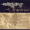 Tears Seven Times Salt - Undying lyrics