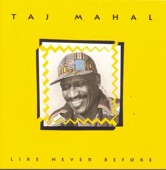 Taj Mahal - Blues With a Feeling