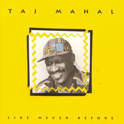 Like Never Before - Taj Mahal