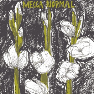 Mecca Normal (The First Album)
