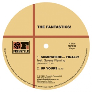 Somewhere Finally (feat. Sulene Fleming) - Single