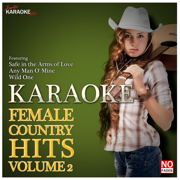 When You Say Nothing At All (In the Style of Allison Krauss and Union Station) [Karaoke Version] - Ameritz Karaoke Hits
