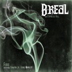 Fire (feat. Damian Jr. Gong Marley)