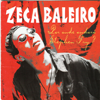 Bandeira - Zeca Baleiro