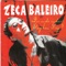 Stephen Fry - Zeca Baleiro lyrics
