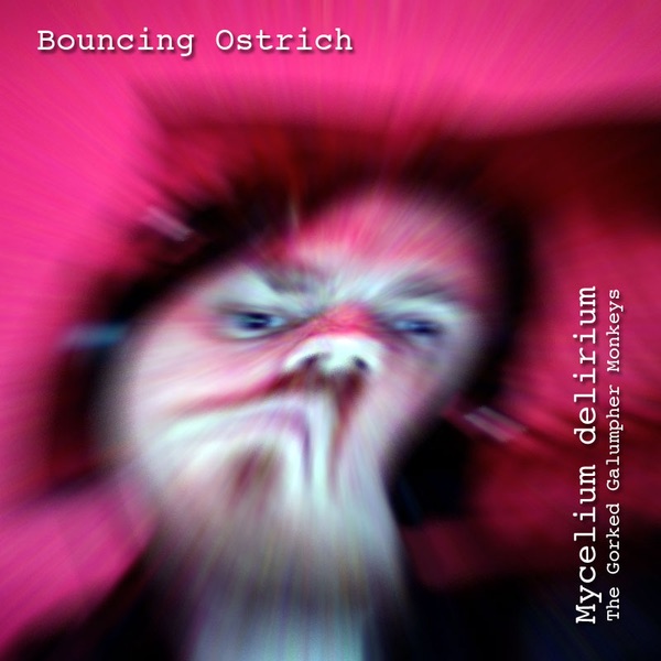 Bouncing Ostrich